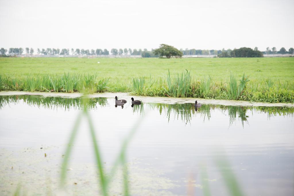 Het Stalhuys Apartment Reeuwijk ภายนอก รูปภาพ